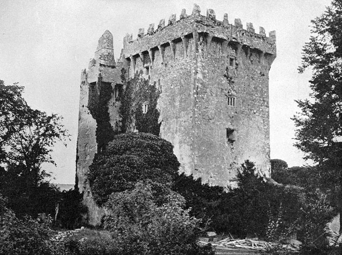 Ireland Tourist - Blarney Castle