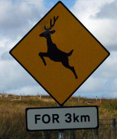 Deer Road Sign