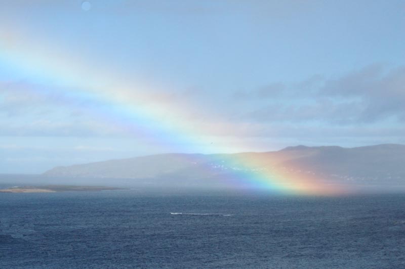 Leprechaun  Rainbow Picture 